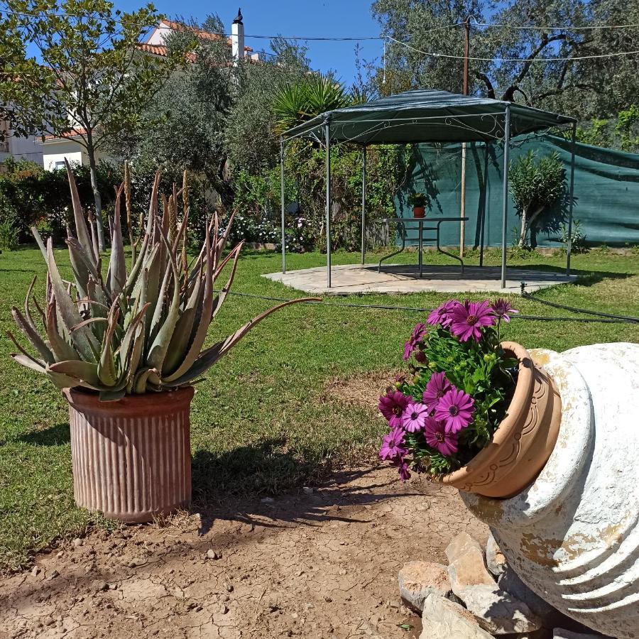 Вілла Itea'S Garden House Kirra Екстер'єр фото